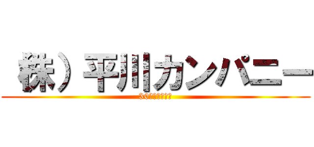 （株）平川カンパニー (30人の社畜人生)