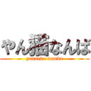 やん猫なんば (yanneko namba)