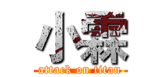 小霖 (attack on titan)