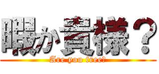 暇か貴様？ (Are you free?)