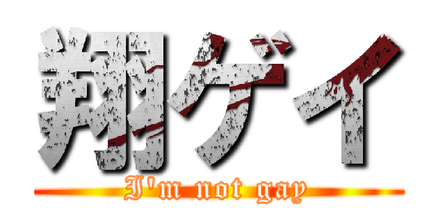 翔ゲイ (I'm not gay)
