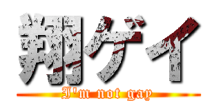 翔ゲイ (I'm not gay)