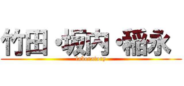 竹田・坂内・稲永  (laboratory)