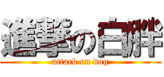 進撃の白胖 (attack on dog)