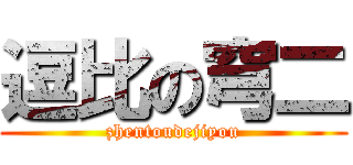 逗比の穹二 (zhentoudejiyou)