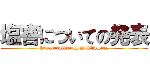 塩害についての発表 (Presentation on salt damage)