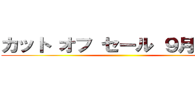 カット オフ セール ９月 末迄 ()