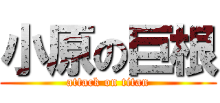 小原の巨根 (attack on titan)