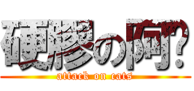 硬膠の阿雞 (attack on cats)