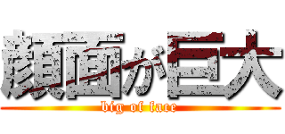 顔面が巨大 (big of face)