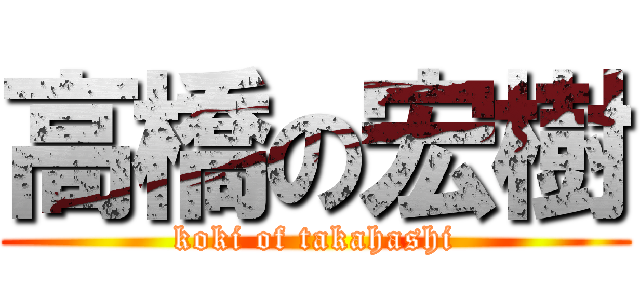 高橋の宏樹 (koki of takahashi)