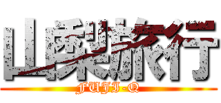 山梨旅行 (FUJI-Q)