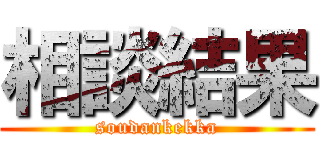 相談結果 (soudankekka)