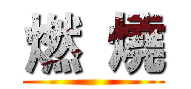 燃  燒 ()