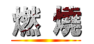燃  燒 ()
