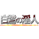 白鷺の淫人 (attack on titan)