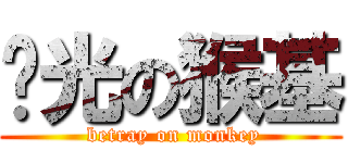 闪光の猴基 ( betray on monkey)