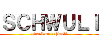 ＳＣＨＷＵＬＩ (attack on schwuli)