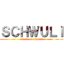 ＳＣＨＷＵＬＩ (attack on schwuli)
