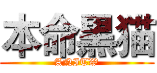 本命黒猫 (ANITW)