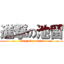 進撃の池留 (king of pennis)