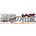 進擊の柏萱 (attack on titan)