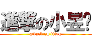 進撃の小昱娸 (attack on titan)