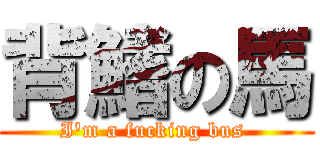 背鰭の馬 (I\'m a fucking bus )