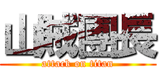 山賊團長 (attack on titan)