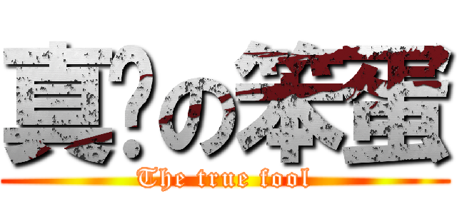 真实の笨蛋 (The true fool)