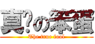 真实の笨蛋 (The true fool)