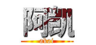 阿凯 (akai)