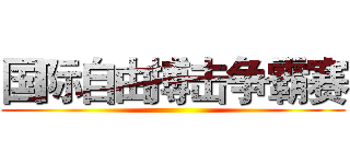 国际自由搏击争霸赛 ()