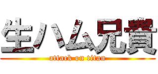 生ハム兄貴 (attack on titan)