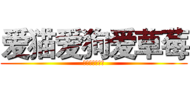 爱猫爱狗爱草莓 (短发自拍恺相随)