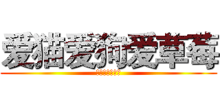 爱猫爱狗爱草莓 (短发自拍恺相随)