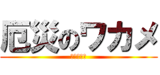 厄災のワカメ (ワカメ死す)