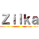 Ｚｉｌｋａ ()