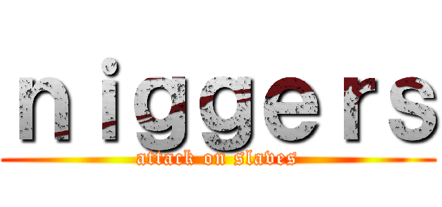 ｎｉｇｇｅｒｓ (attack on slaves)