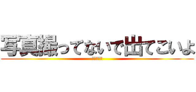 写真撮ってないで出てこいよ (何してんだ)