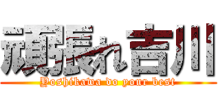 頑張れ吉川 (Yoshikawa do your best)