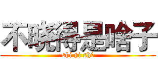 不晓得是啥子 (shi yi shi)