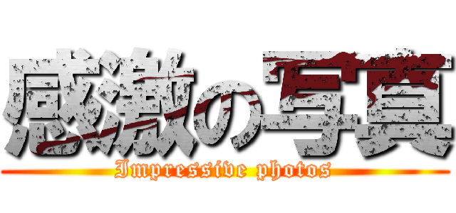 感激の写真 (Impressive photos)