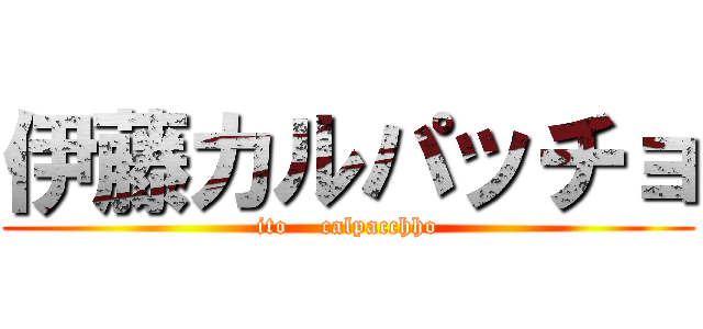 伊藤カルパッチョ (ito    calpacchho)
