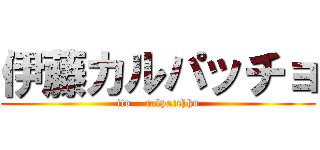 伊藤カルパッチョ (ito    calpacchho)