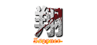 翔 (Ispyner)