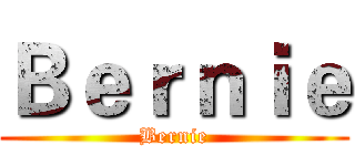 Ｂｅｒｎｉｅ (Bernie)
