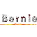 Ｂｅｒｎｉｅ (Bernie)