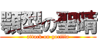 顎型の聖晴 (attack on gorilla)