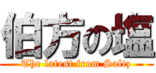 伯方の塩 (The latest from Saltz)